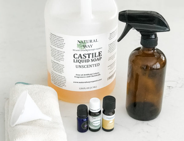 counter cleaner castile soap diy homemade cleaner ingredients